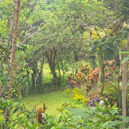 Eco Hotel Manu Viajeros San Agustín エクステリア 写真