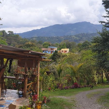 Eco Hotel Manu Viajeros San Agustín エクステリア 写真