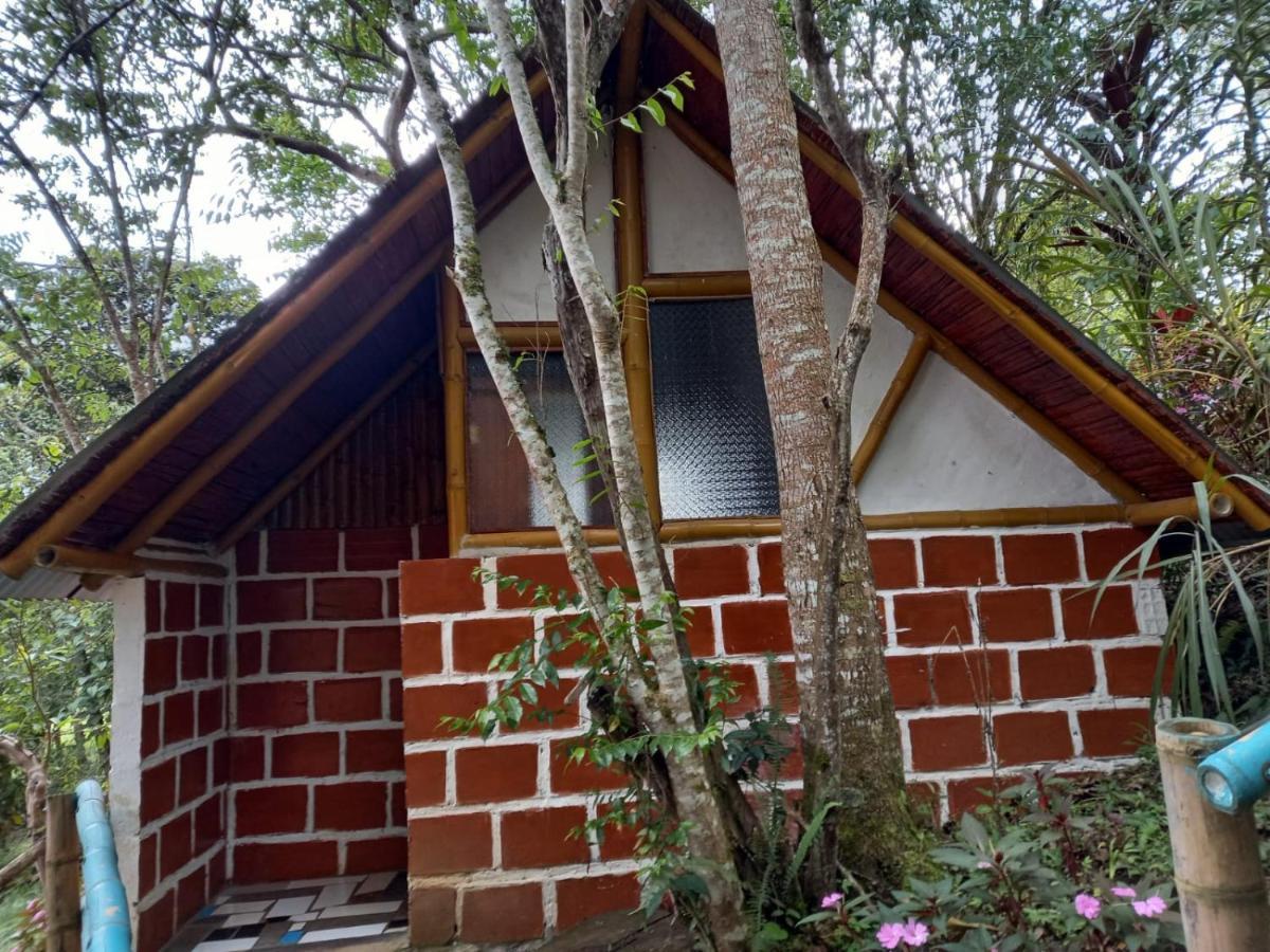 Eco Hotel Manu Viajeros San Agustín エクステリア 写真