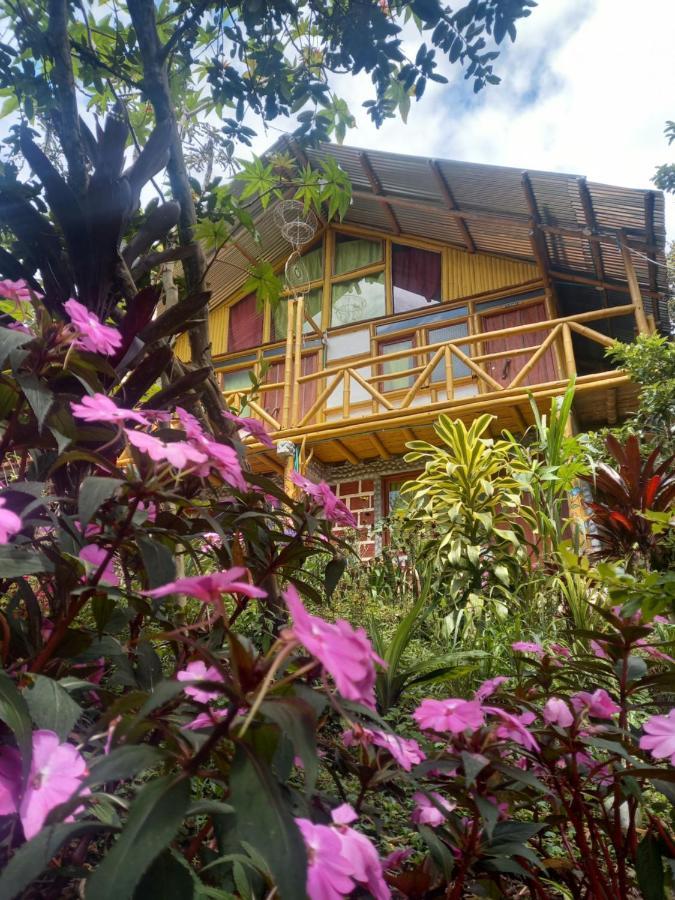 Eco Hotel Manu Viajeros San Agustín エクステリア 写真
