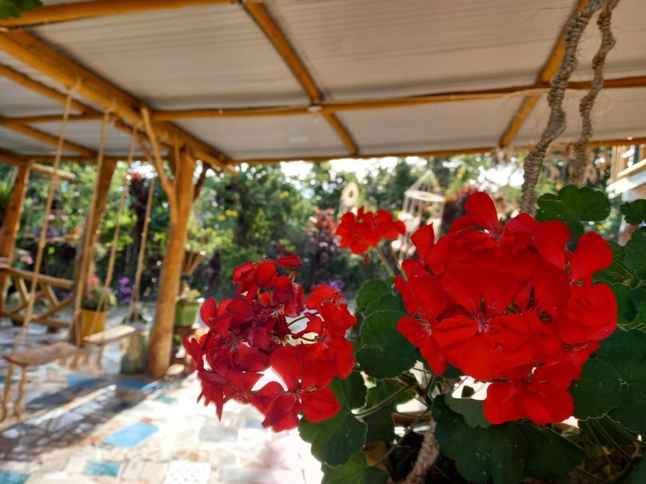 Eco Hotel Manu Viajeros San Agustín エクステリア 写真