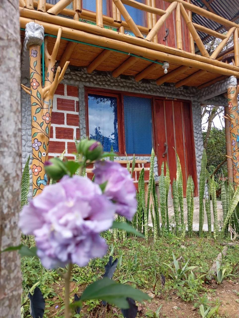 Eco Hotel Manu Viajeros San Agustín エクステリア 写真