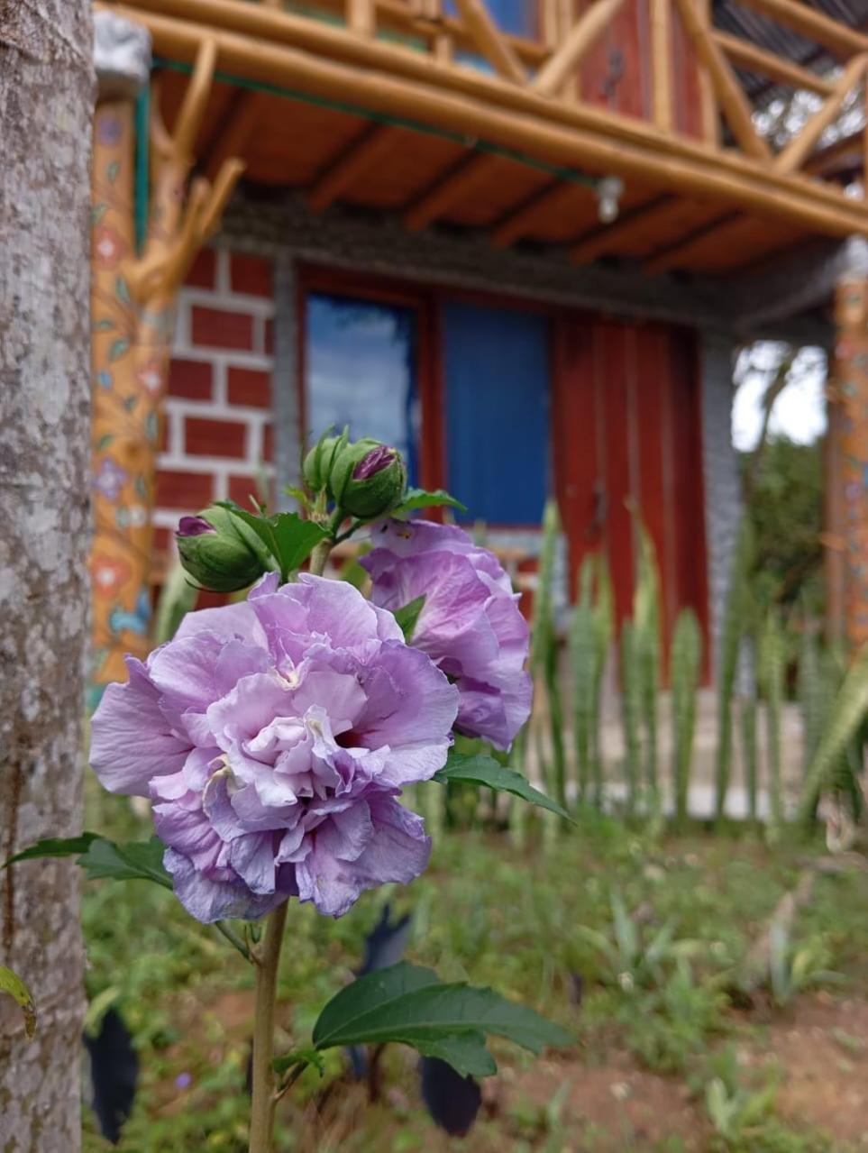 Eco Hotel Manu Viajeros San Agustín エクステリア 写真