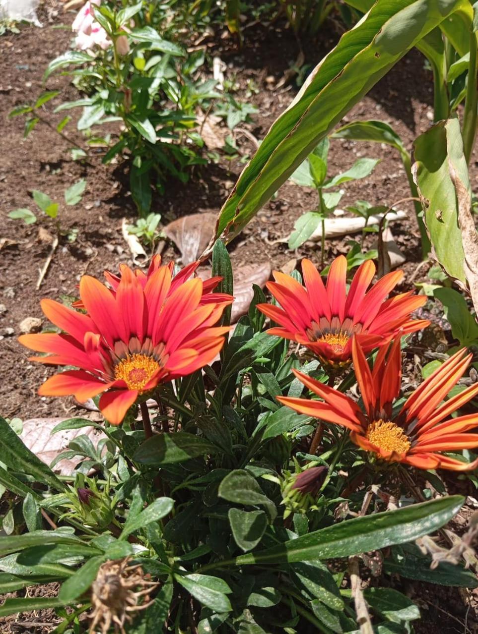 Eco Hotel Manu Viajeros San Agustín エクステリア 写真